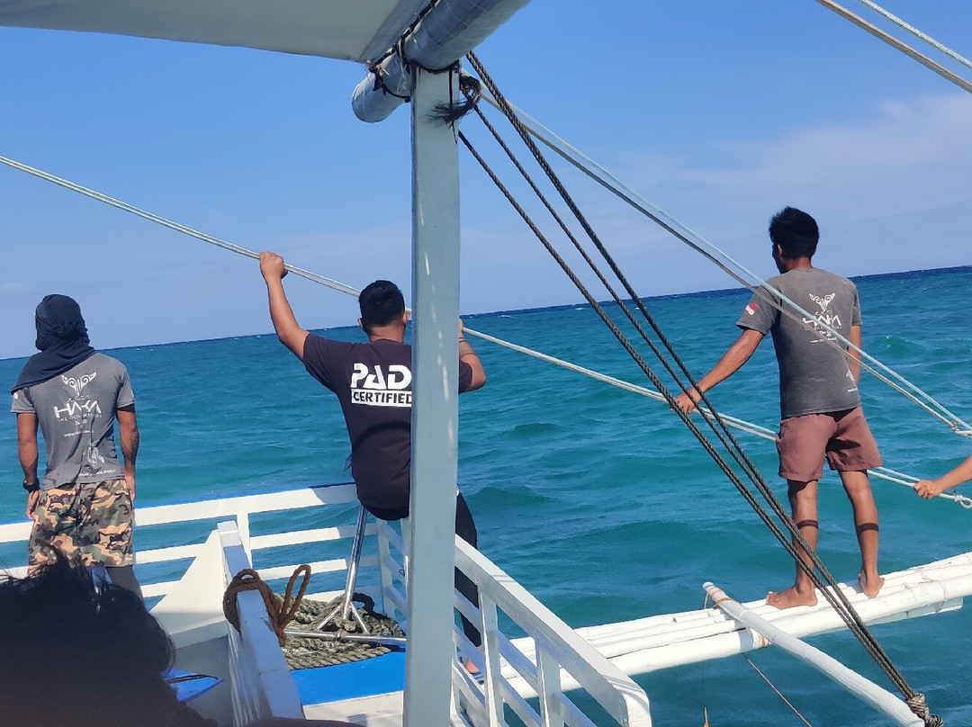 Haka Dive Center-Panglao必去景点