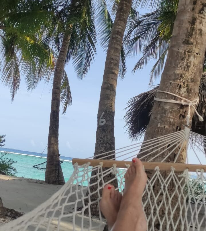 瓦沙法鲁酒店主图