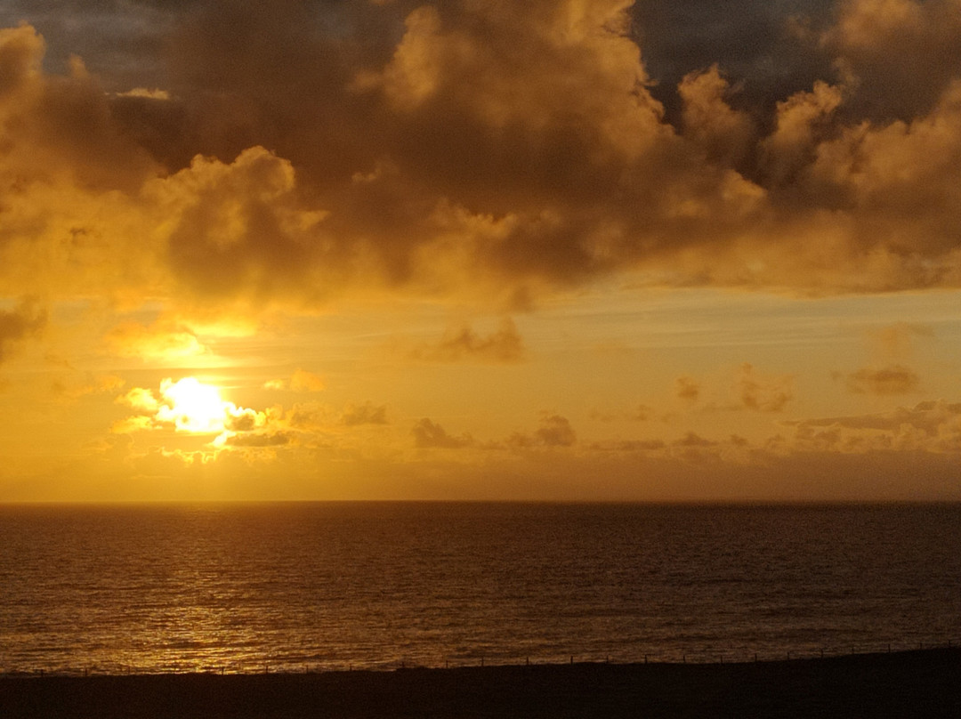 Orchid House Bed & Breakfast主图