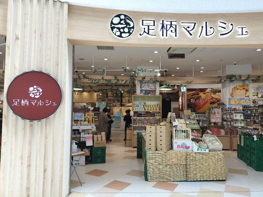 Ashigara Service Area Outbound Line-小山町必去景点