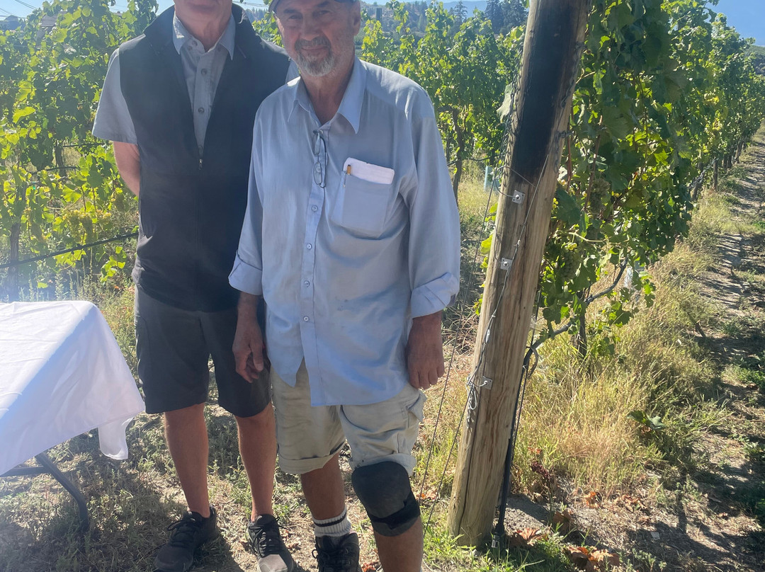 Grape Savvy Wine Tours-彭蒂克顿必去景点