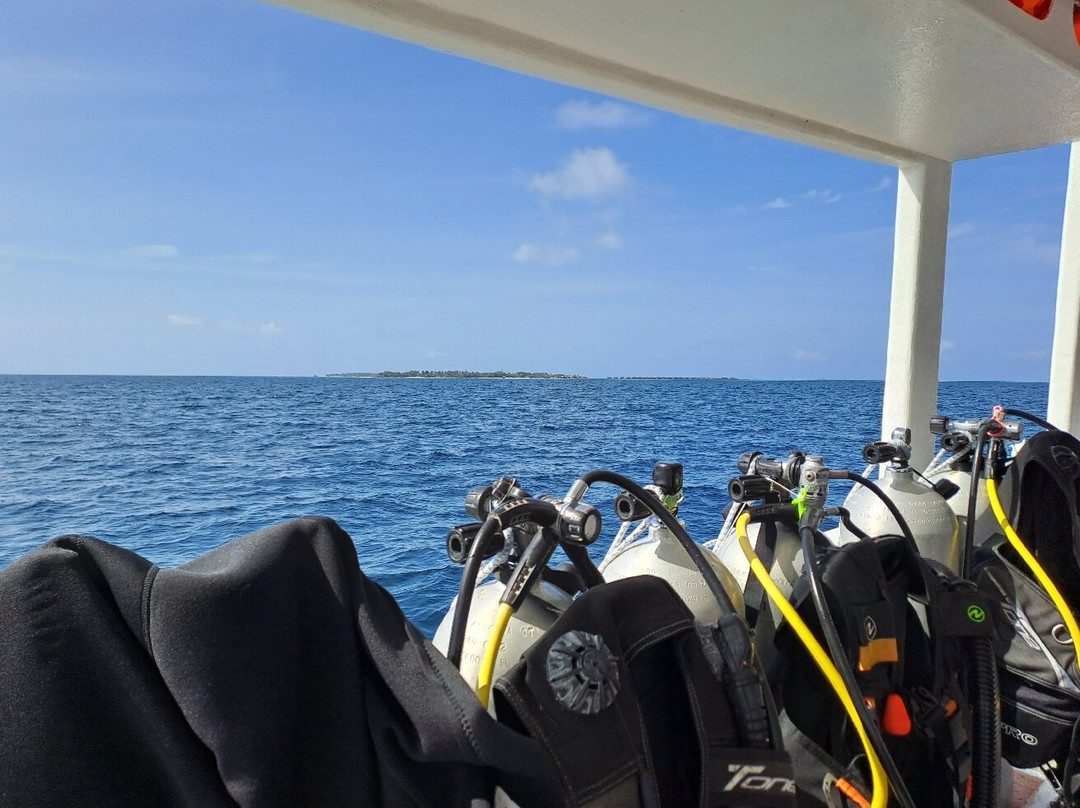 South Ari Dive Center主图