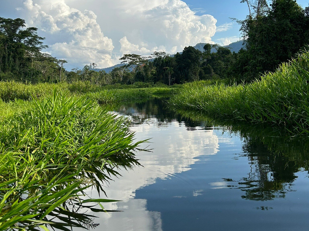 Peru Amazon Expeditions景点图片