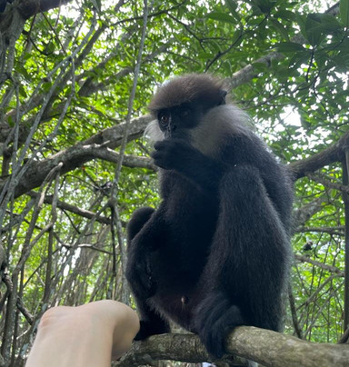 Riu Manga Tours-亚洪加拉必去景点