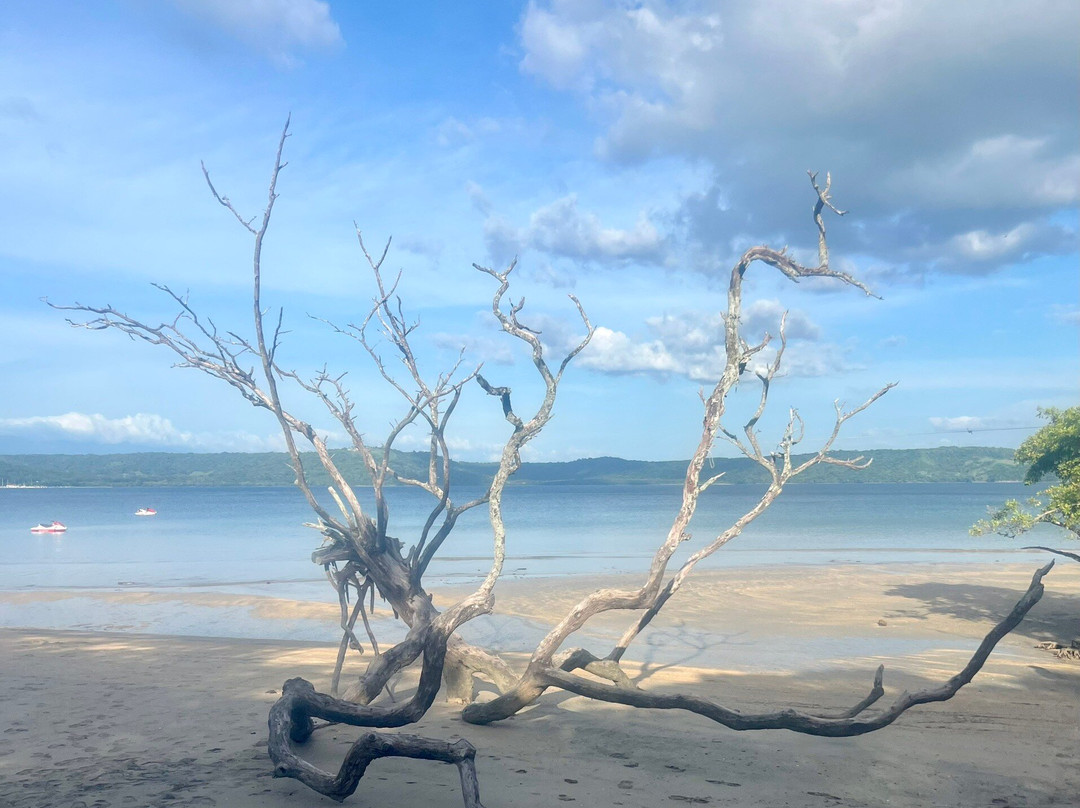 Tide Water Adventure景点图片