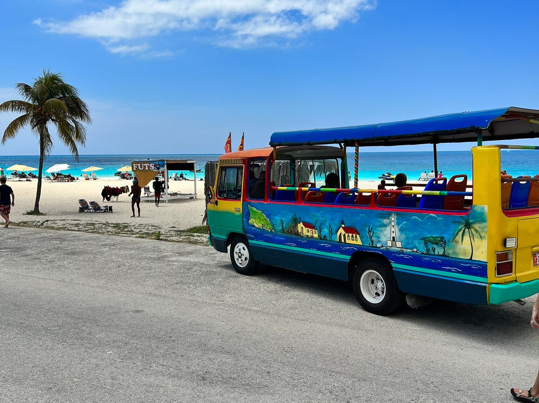 HF Tours & Transfers Aruba景点图片