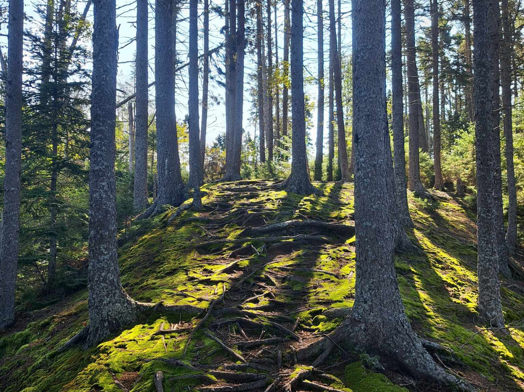 Amherst Point Bird Sanctuary-Amherst必去景点