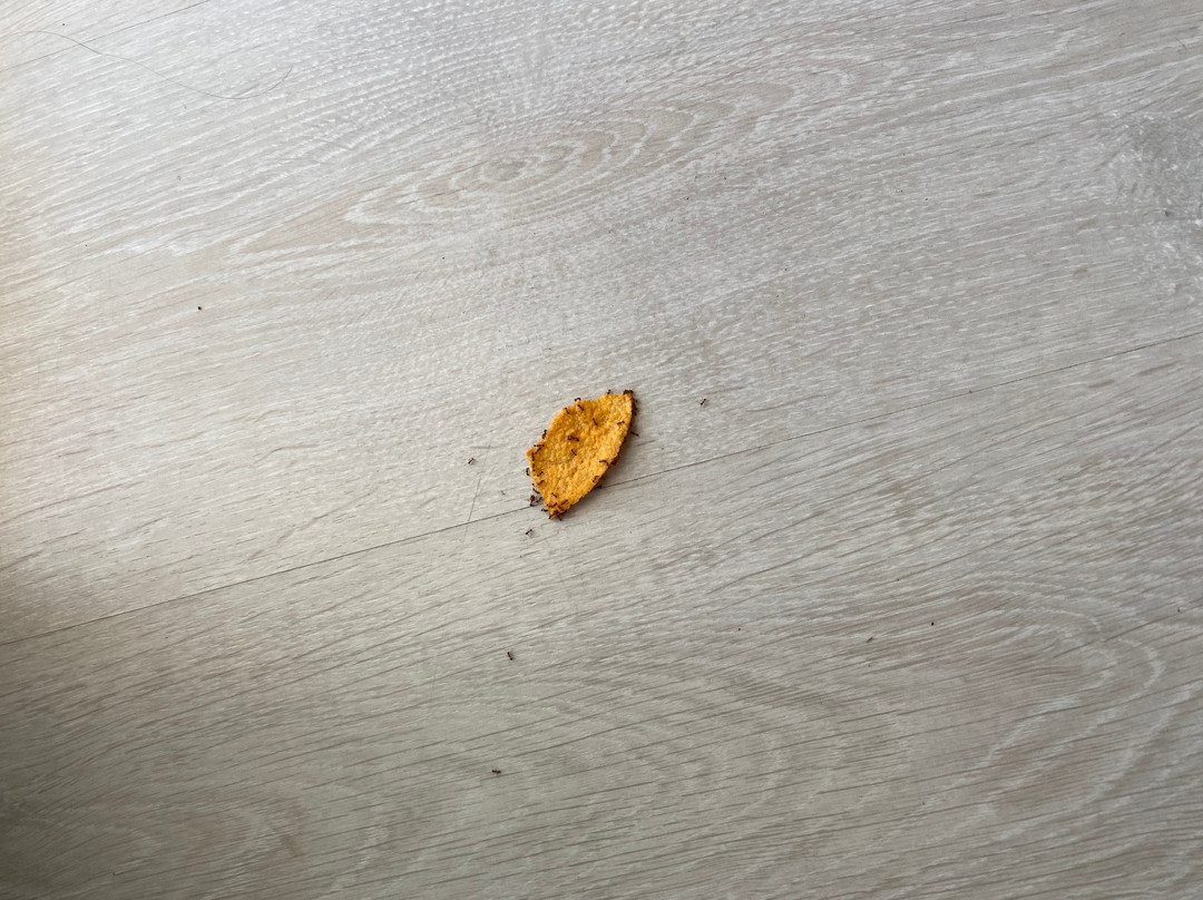 奥拉马约里酒店主图