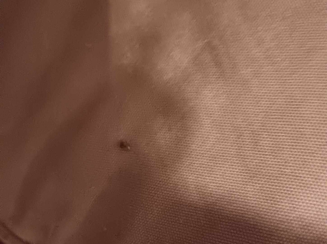 Hotel Montchapet主图