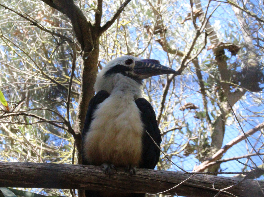 Parque Zoológico De Lagos景点图片