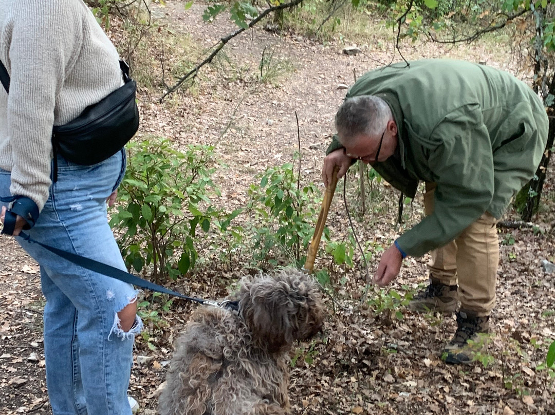 Giulio the Truffle Hunter-巴尼奥阿里波利必去景点