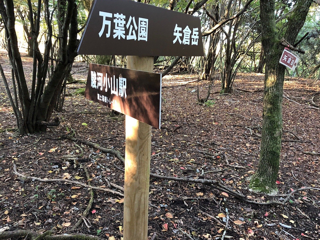Yaguradake Mountain-南足柄市必去景点