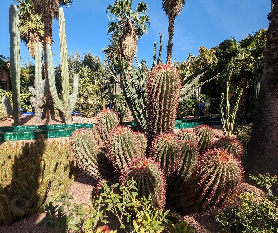 experienceamazingmorocco-马拉喀什必去景点