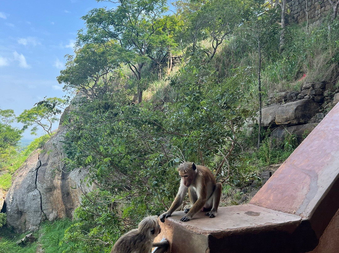 Sri Lanka Round Tour-瓦都瓦必去景点