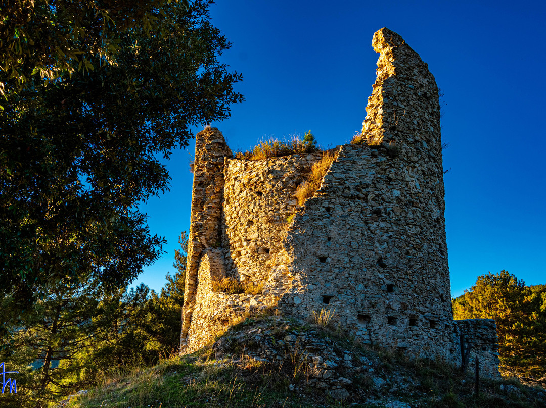 Torre Baiolardo - Il Torrazzo景点图片