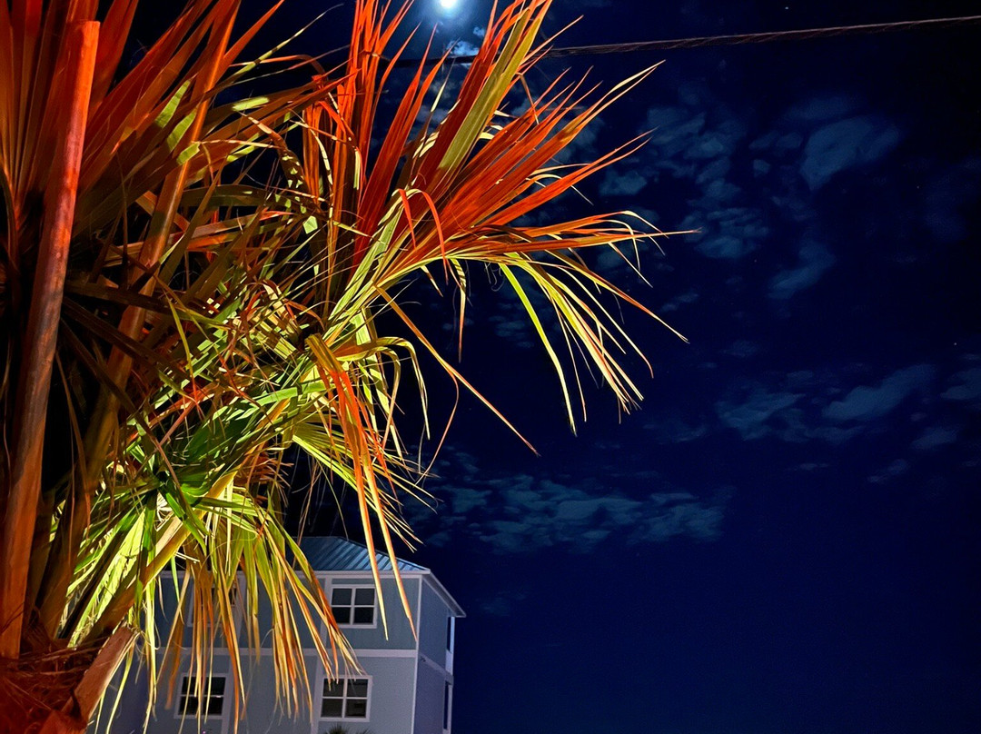 Gulf View Motel主图