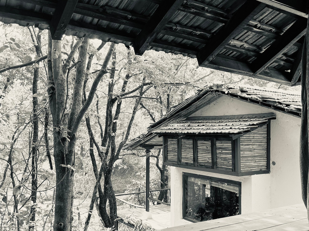 Baghvan, A Taj Safari - Pench National Park主图