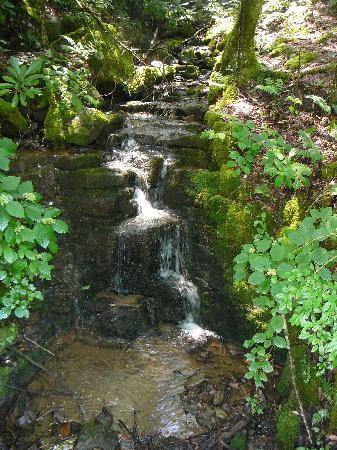 Backbone Rock Waterfall景点图片