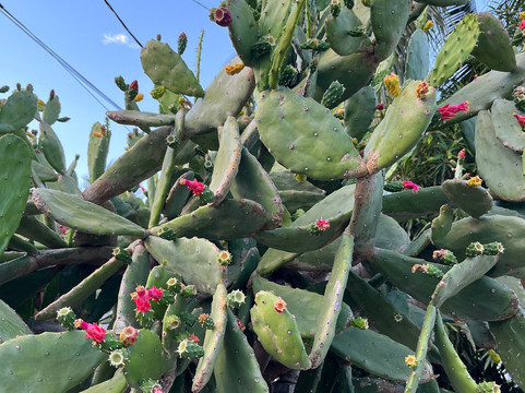 伯恩特别墅酒店主图