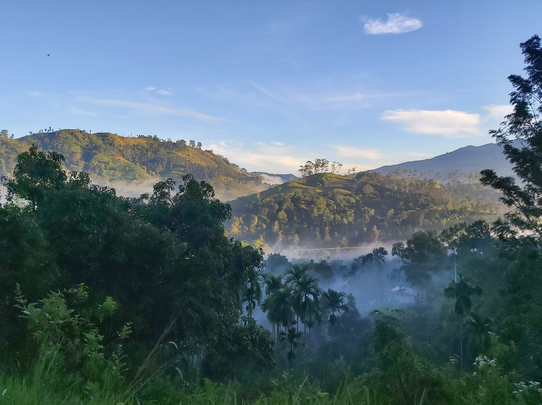 Green Lanka Tours (Galle)-加勒必去景点