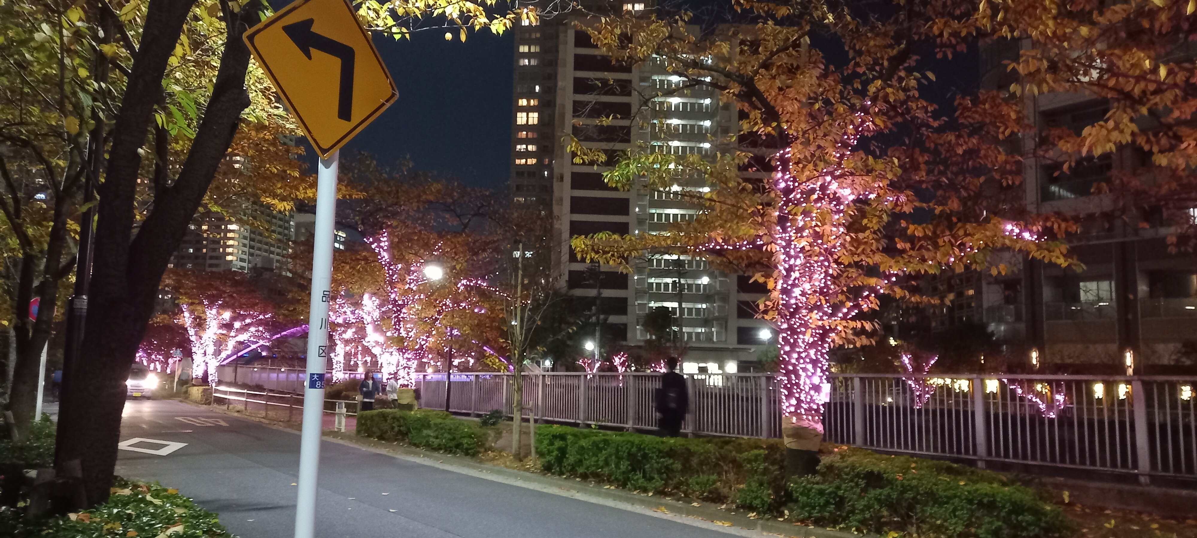 东京新大谷旅社-官方