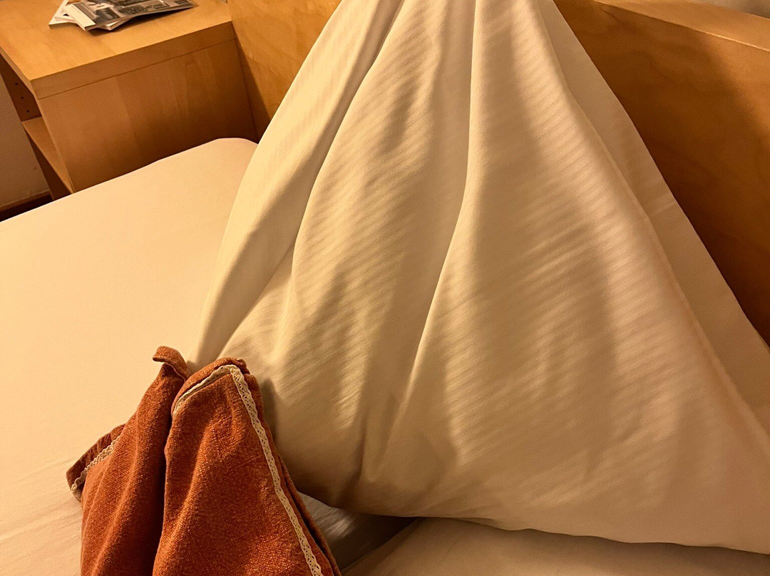 Hotel Palazzo Mÿsanus主图
