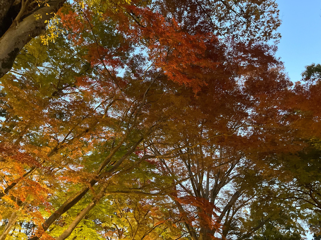 Suzumenomiya Park-寄居町必去景点