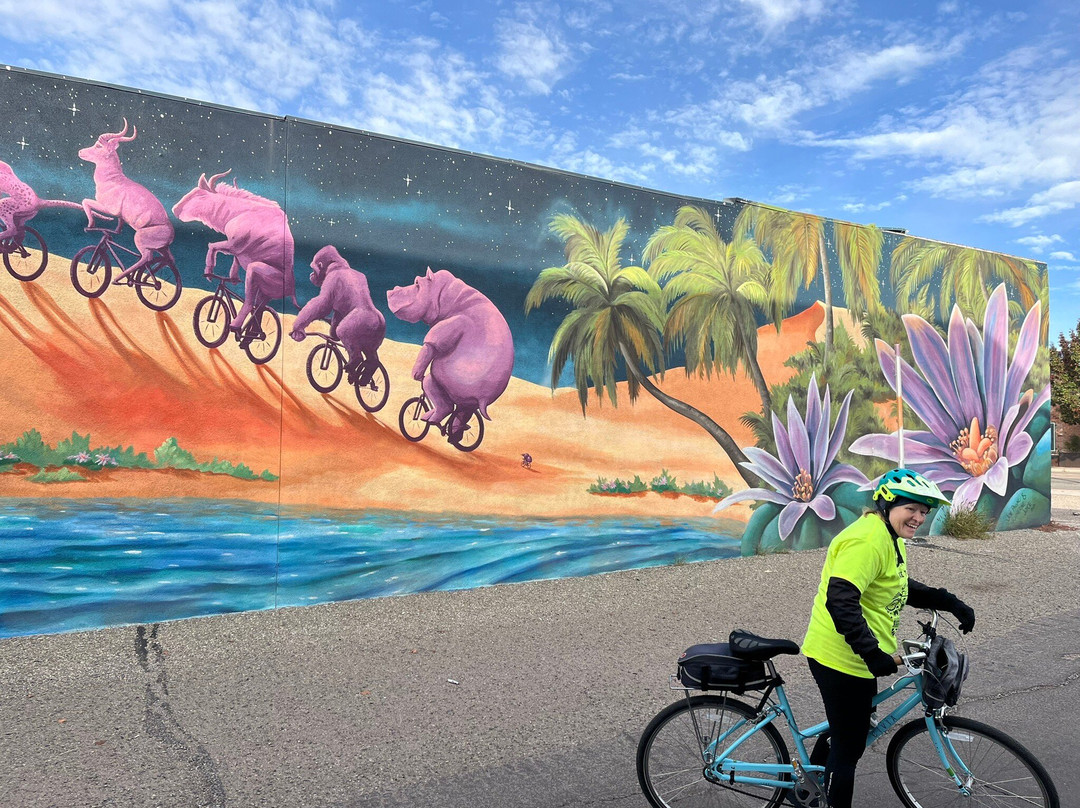 Tucson Bike Tours景点图片