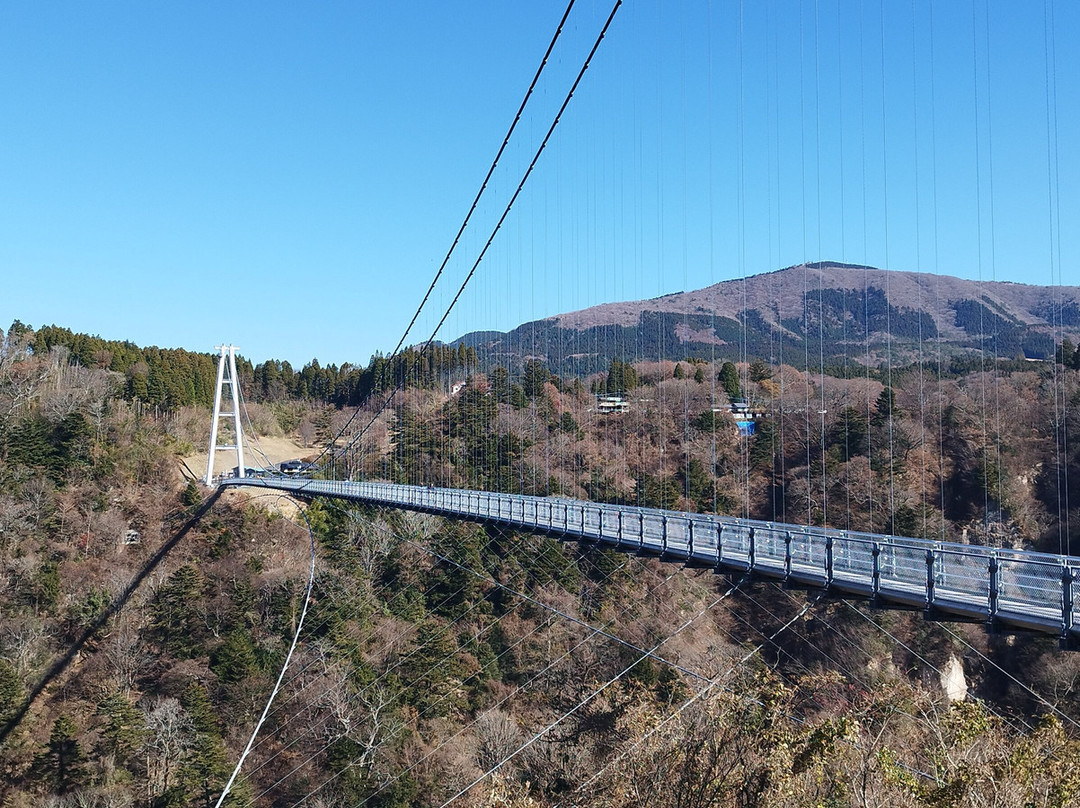 Kokonoe Yume Otsurihashi Bridge景点图片