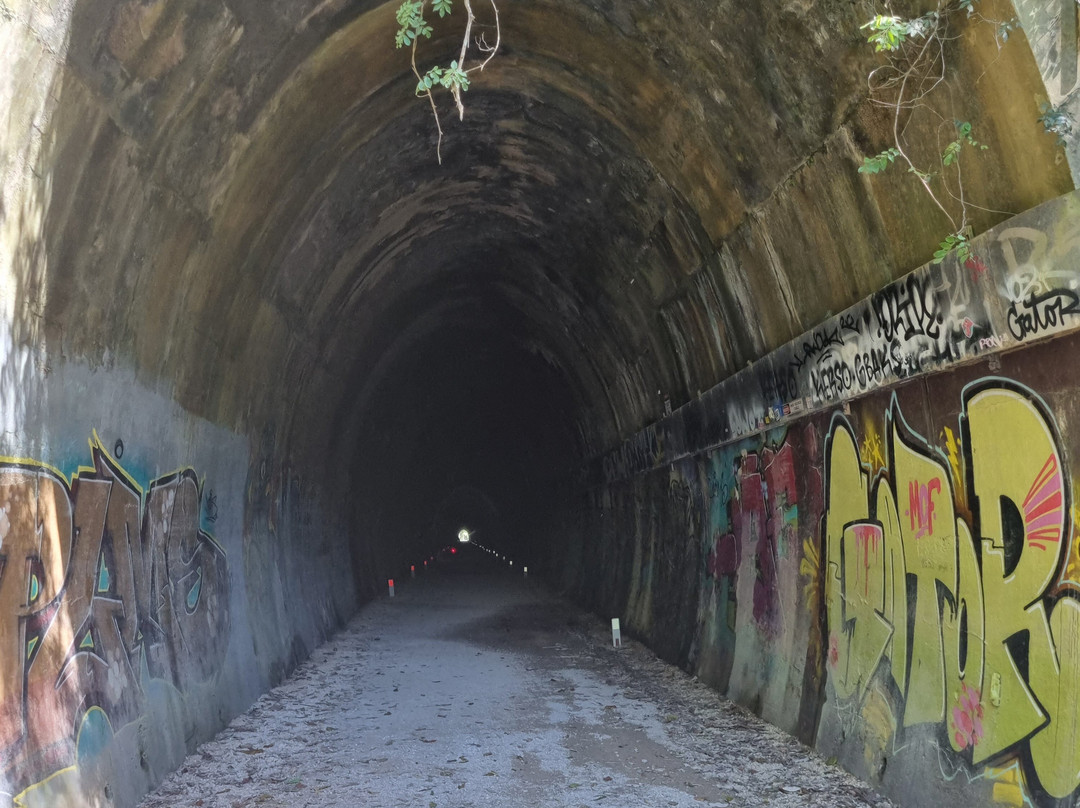 Northern Rivers Cycles And Bike Hire-Mooball必去景点