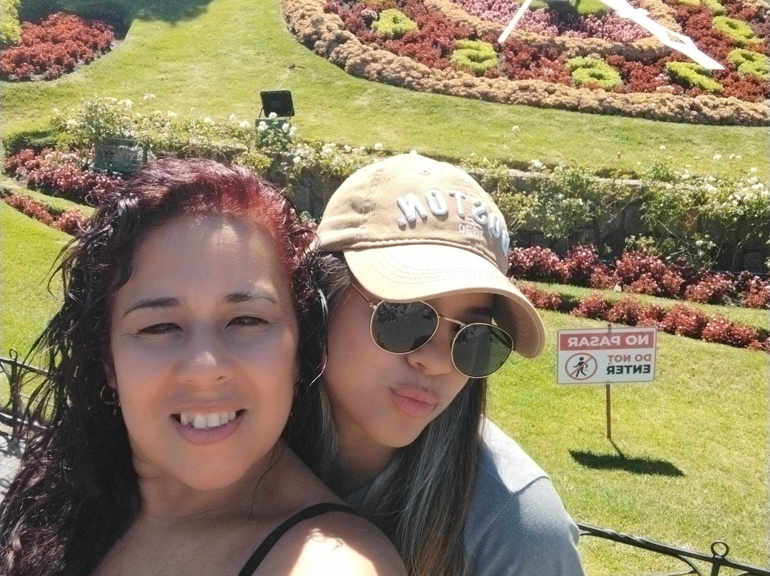 Playa Caleta Abarca-比尼亚德尔马必去景点