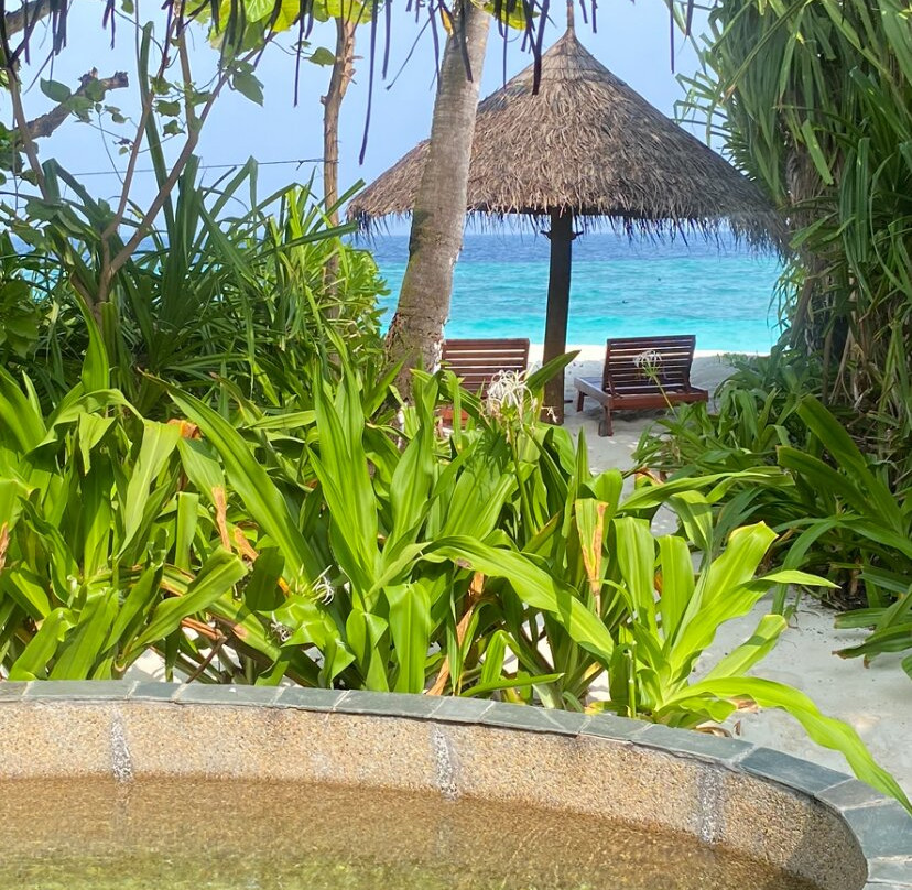 柯可棕榈杜妮科酒店主图