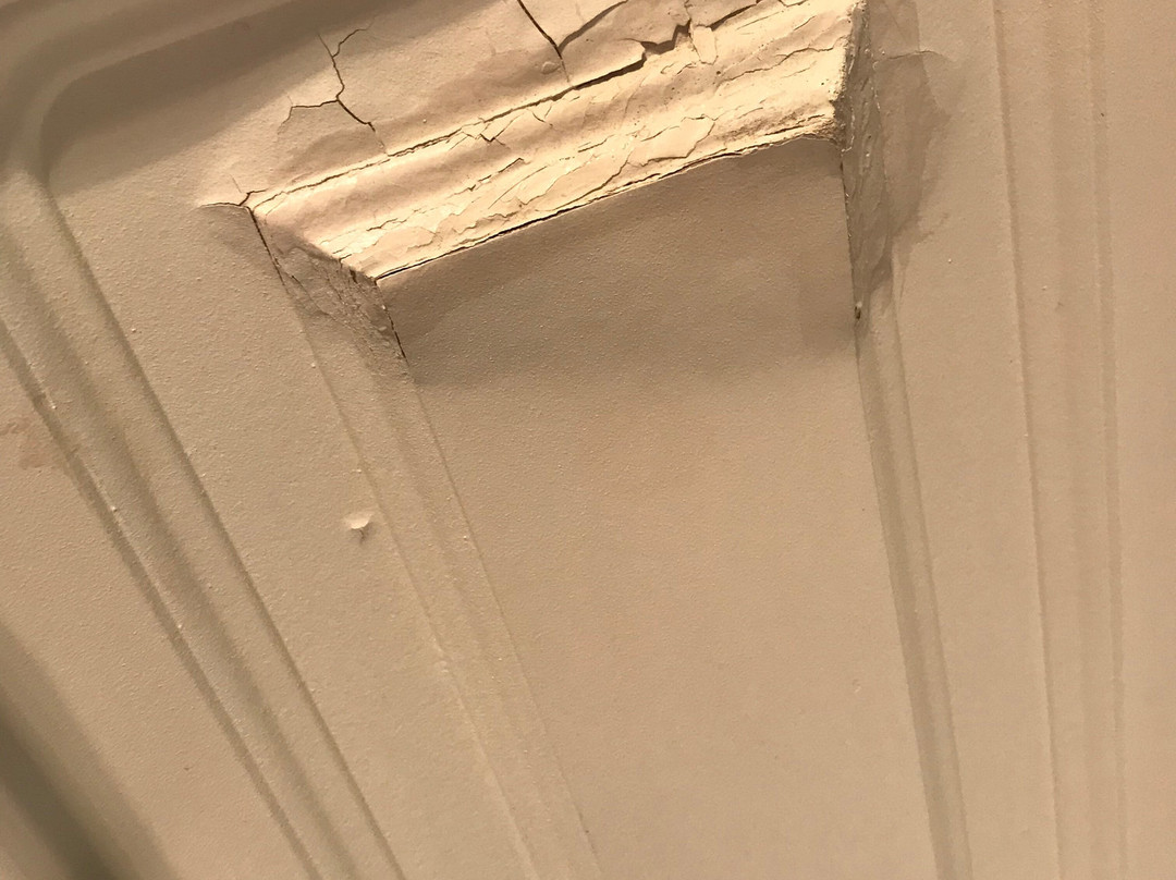 Ambassador on Ruthven Motel主图