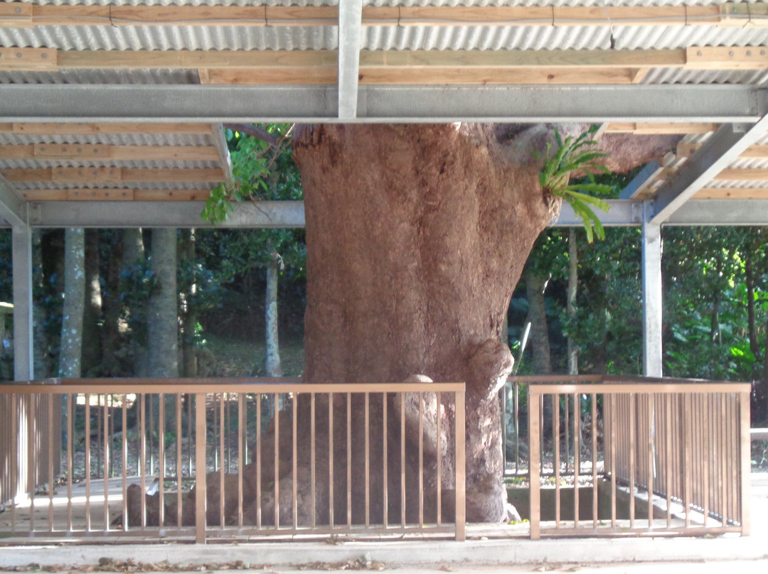 Ntabaru Ugam-多良间村必去景点