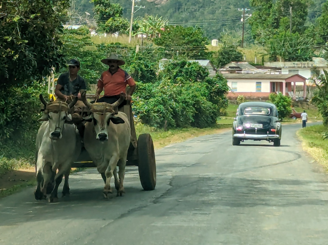 Discover Your Cuba Tour-哈瓦那必去景点