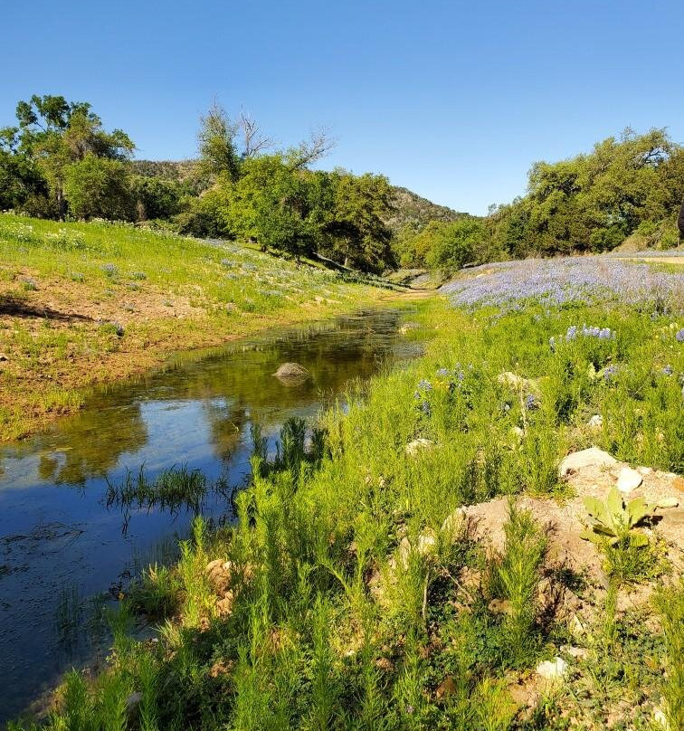 Willow City Loop-弗雷德里克斯堡必去景点