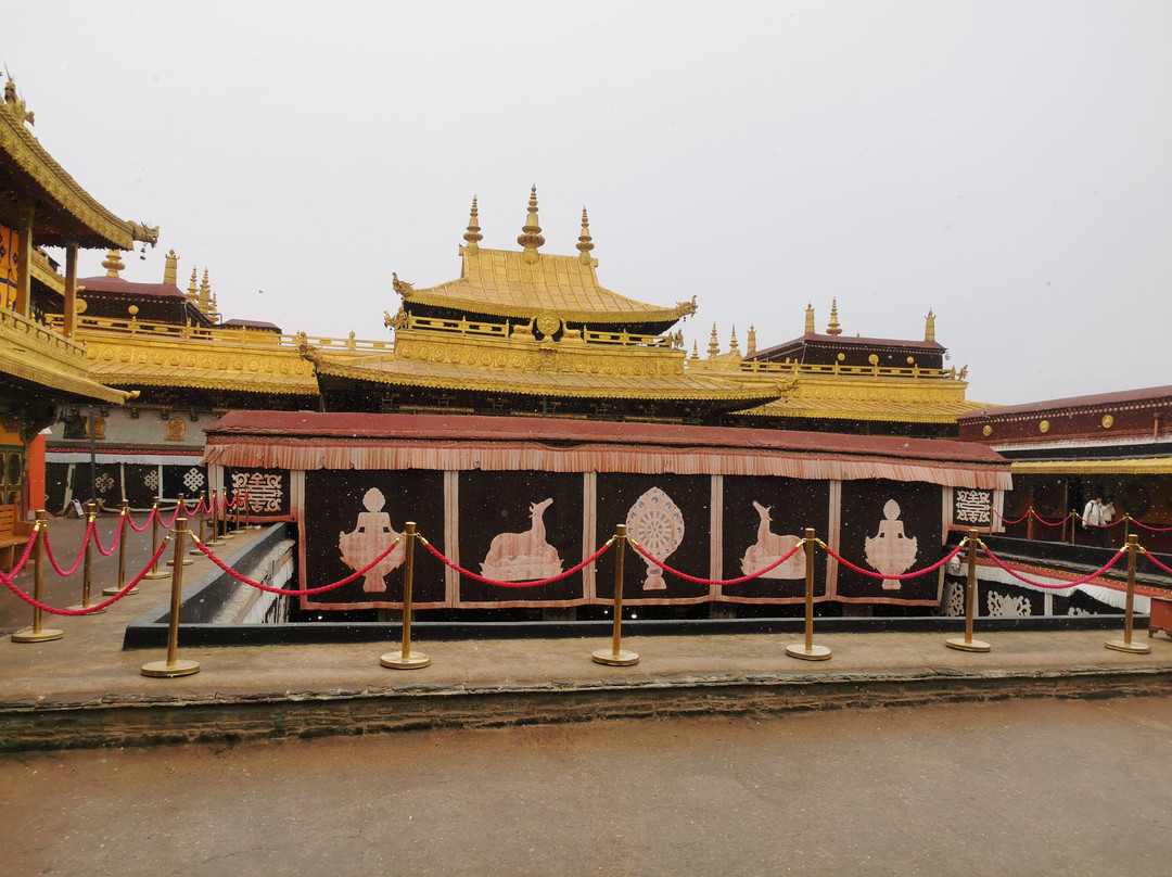 Xizang Nature Tour-拉萨市必去景点
