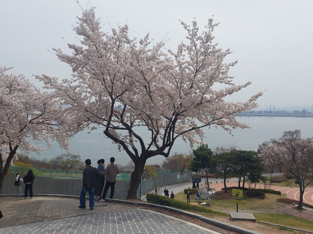 Hwano Park Space Walk-浦项市必去景点