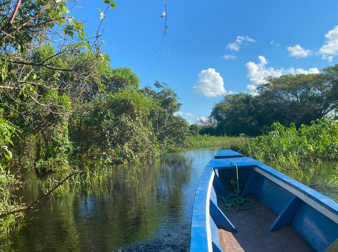 Dolphins Travel Bolivia Ecolodge-Rurrenabaque必去景点