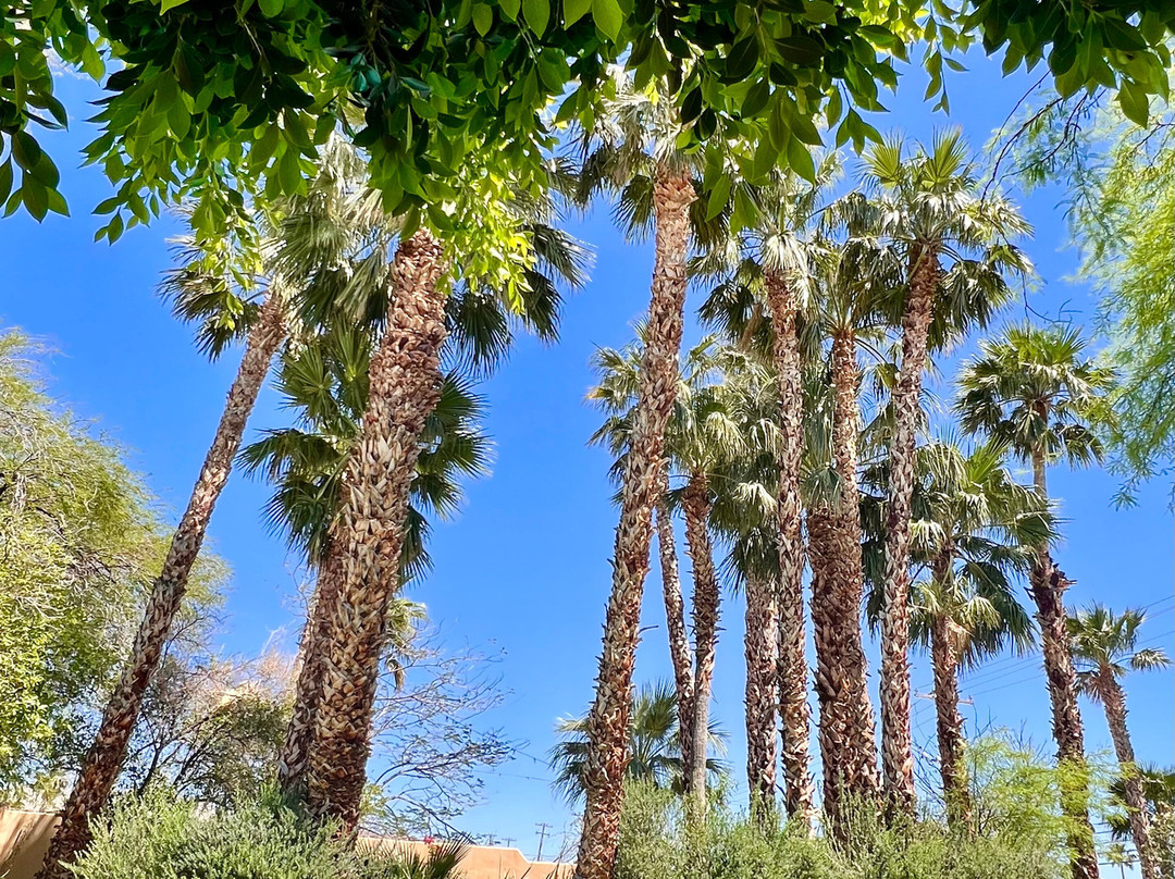 The Good House主图