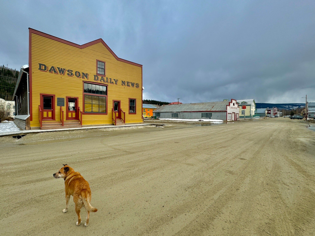 Paddlewheel Graveyard-道森市必去景点