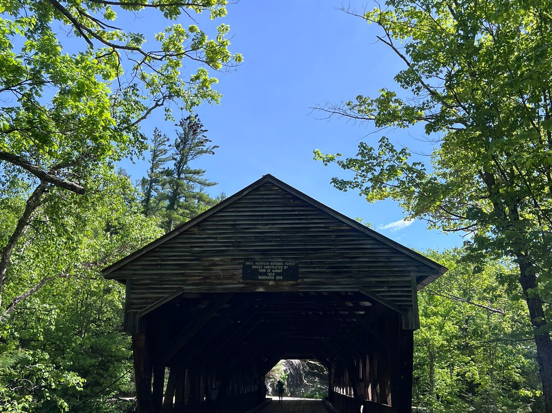 Albany Covered Bridge-Albany必去景点
