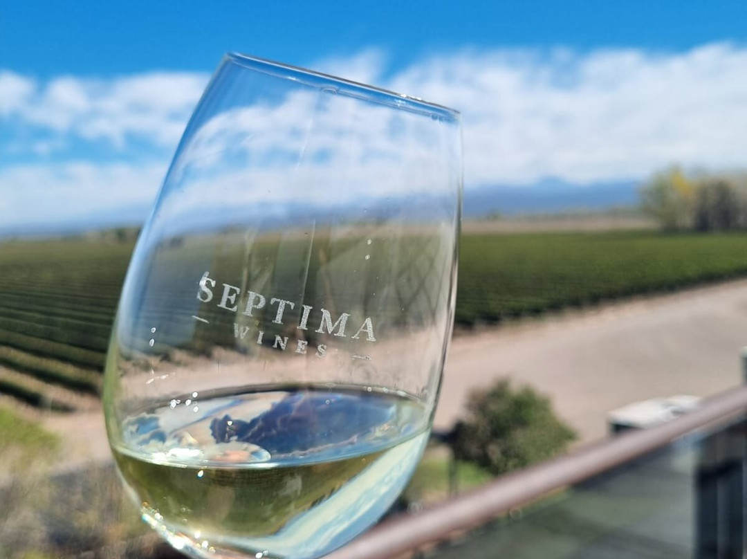 Passeios Vinícola Mendoza-门多萨必去景点