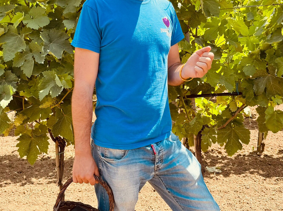 Furchì Wine景点图片