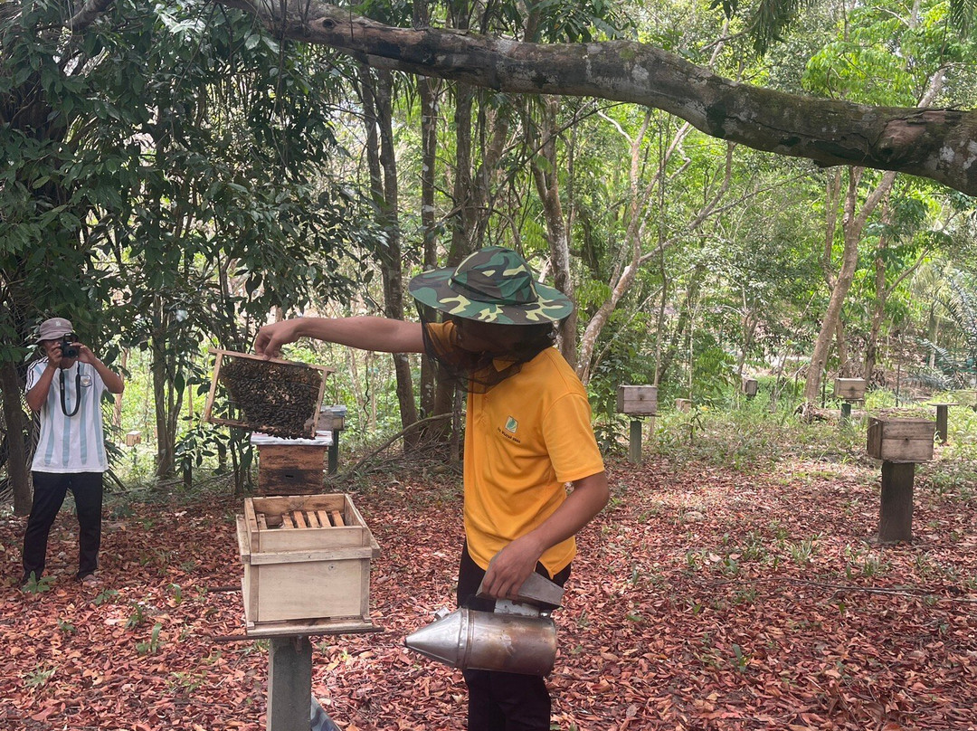 Borneo Honeybee Centre-古达必去景点