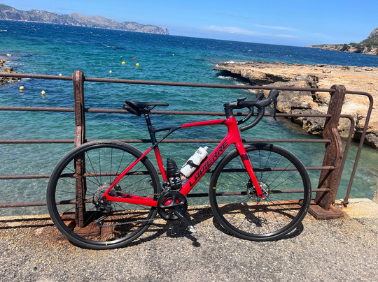 Paco’s Rent A Bike-阿尔库迪亚港必去景点