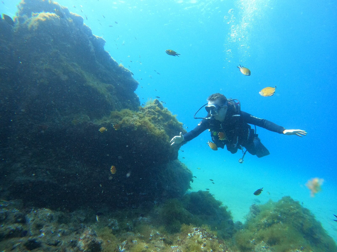 Liquid Planet Dive Centre-卡拉罗港口必去景点