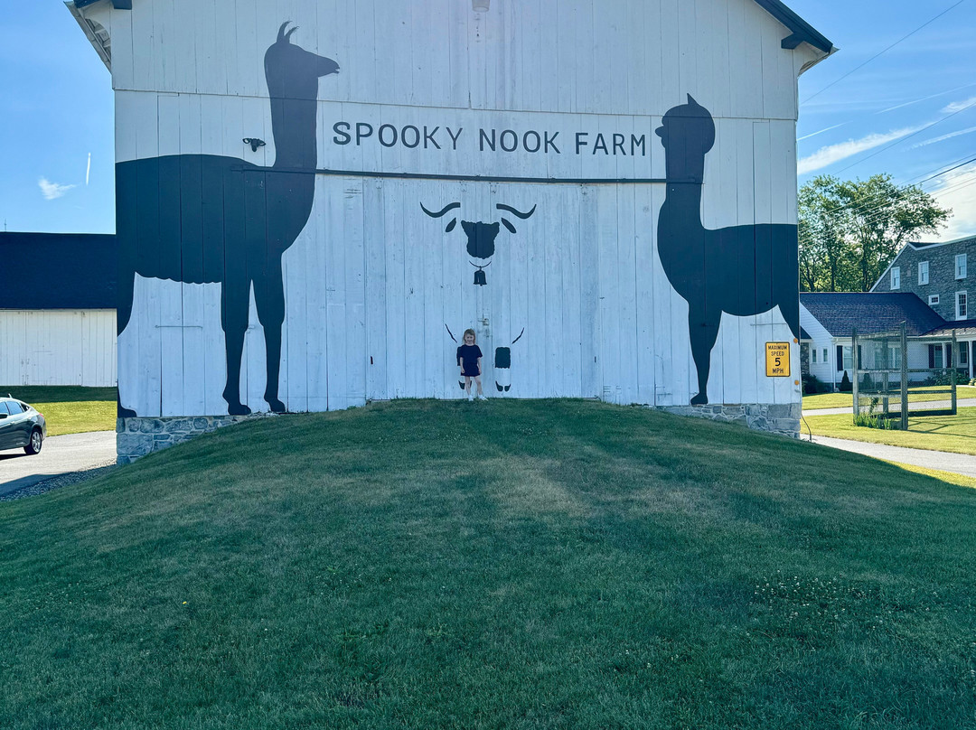 Spooky Nook Farm Llama’s & Alpacas景点图片