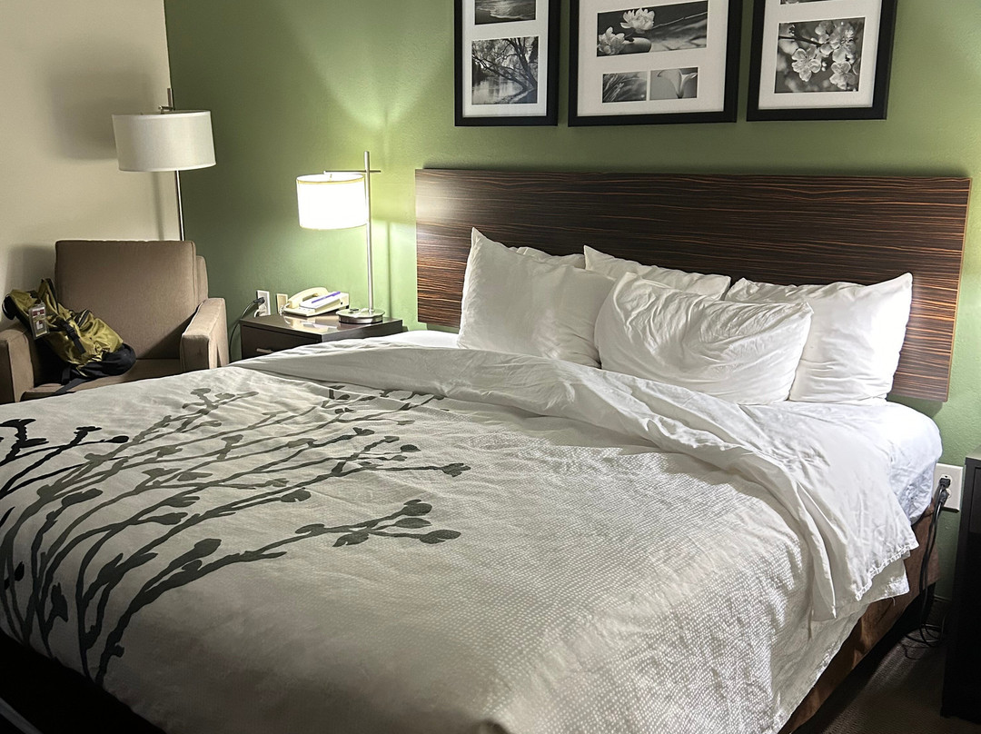 Sleep Inn & Suites Smithfield Near I-95主图