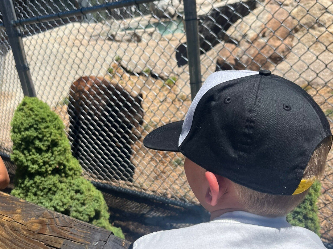 Big Bear Alpine Zoo at Moonridge-大熊湖必去景点